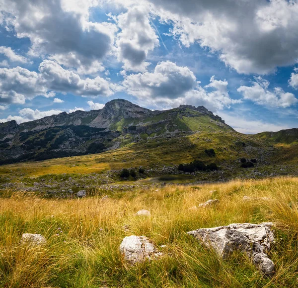 Zomer berg Durmitor Nationaal Park, Montenegro. Durmitor pan — Stockfoto