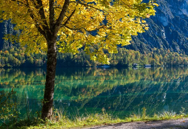 Berrak şeffaf suyla huzurlu sonbahar Alpleri dağ gölü — Stok fotoğraf