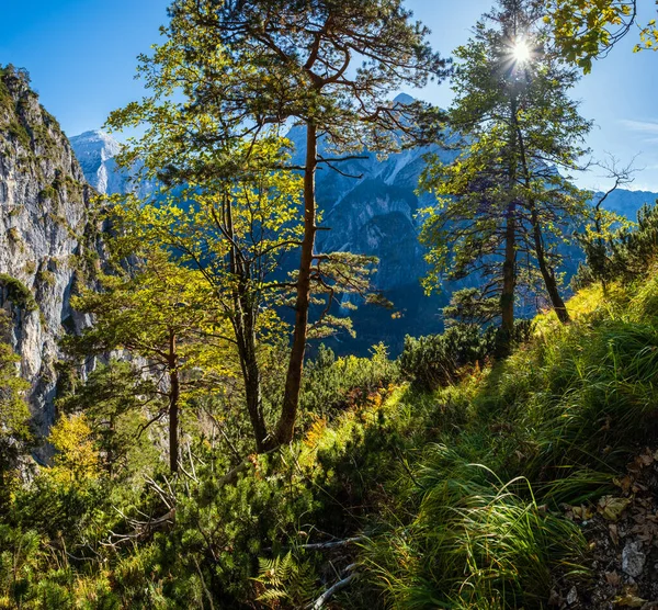 Słoneczna, kolorowa jesienna scena alpejska. Pokojowa skalista góra v — Zdjęcie stockowe