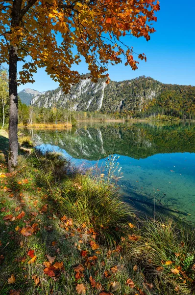 秋天平静的阿尔卑斯山湖水清澈透明 — 图库照片