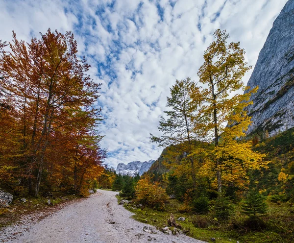 Calme automne Alpes vue sur la forêt de montagne. Près de Gosauseen ou Vor — Photo