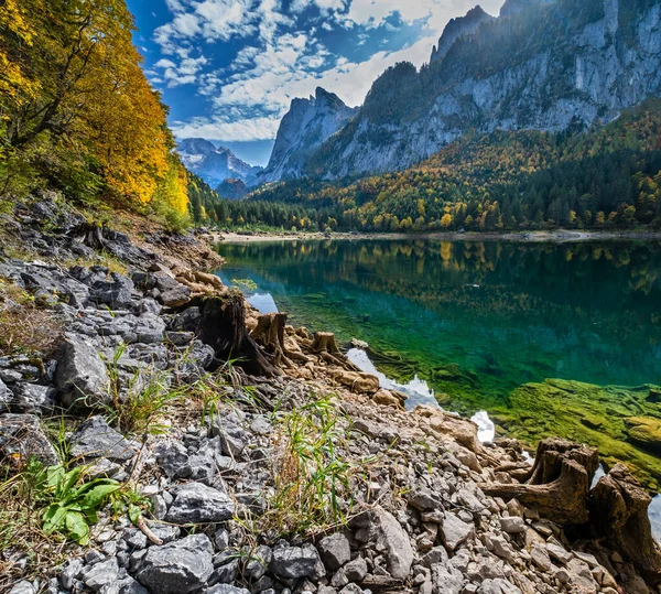 Pahýly stromů poblíž jezera Gosauseen nebo Vorderer Gosausee, Horní Aust — Stock fotografie