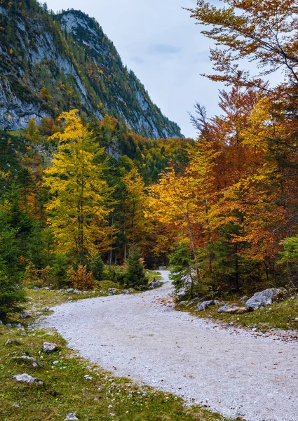 Otoño pacífico Alpes vista del bosque de montaña. Cerca de Gosauseen o Vor — Foto de Stock