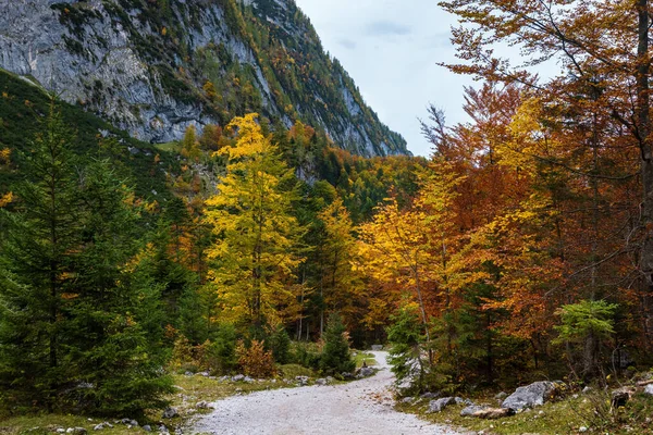 Klidný podzimní Alpy pohled na horské lesy. Poblíž Gosauseen nebo Vor — Stock fotografie