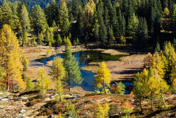Musim gugur yang tenang Danau pegunungan Alpen dengan air transparan yang jernih dan — Stok Foto