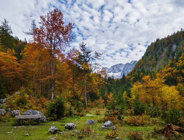 Klidný podzimní Alpy pohled na horské lesy. Poblíž Gosauseen nebo Vor — Stock fotografie