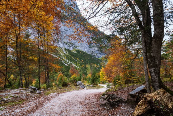 Pokojowy jesienny Alpy widok na góry lasu. W pobliżu Gosauseen lub Vor — Zdjęcie stockowe