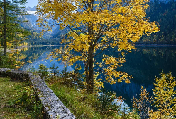 Huzurlu sonbahar Alpleri dağ gölünün yansımaları. Çeviri: nazo82 — Stok fotoğraf