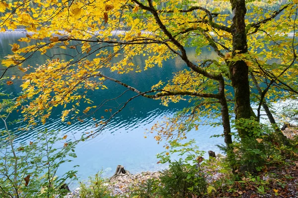 Gosauseen ou lago Vorderer Gosausee, Alta Áustria. Alpes do Outono — Fotografia de Stock