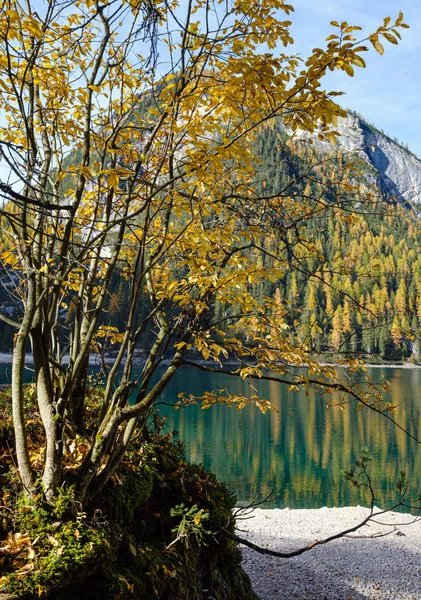 Otoño tranquilo lago alpino Braies o Pragser Wildsee. Fanes-Sen — Foto de Stock