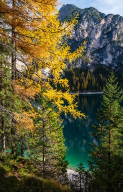 Autumn peaceful alpine lake Braies or Pragser Wildsee. Fanes-Sennes-Prags national park, South Tyrol, Dolomites Alps, Italy, Europe. Picturesque traveling, seasonal and nature beauty concept scene. stock vector