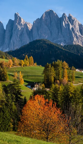 Soirée d'automne Santa Magdalena célèbre Italie Dolomites village su — Photo