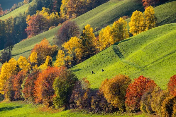 Herfst Santa Magdalena beroemd Italië Dolomieten bergdorp e — Stockfoto