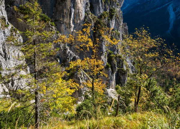 Solig färgstark höst alpin scen. Lugn klippig utsikt över bergen — Stockfoto