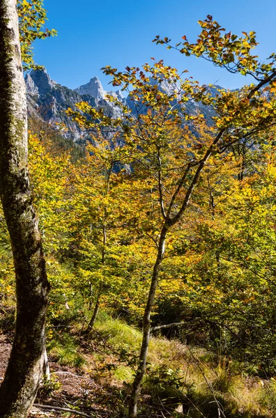 Napfényes, színes őszi alpesi jelenet. Békés sziklás hegyi kilátás — Stock Fotó