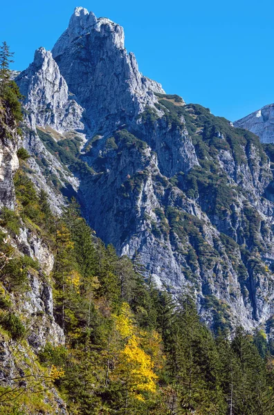 Scène alpine ensoleillée et colorée d'automne. Vue paisible sur la montagne rocheuse — Photo