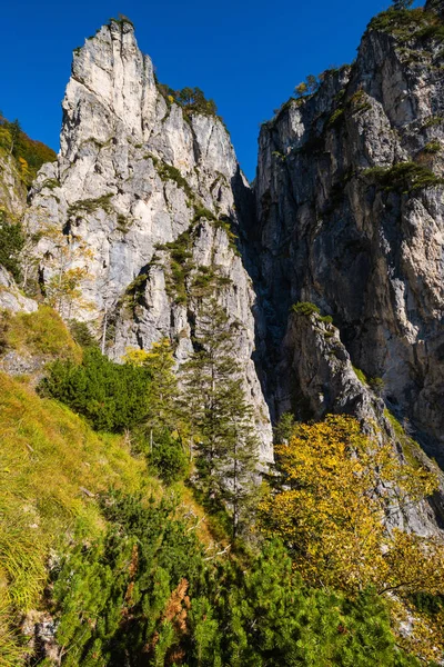 Soleado colorido otoño escena alpina. Pacífica vista rocosa de la montaña —  Fotos de Stock