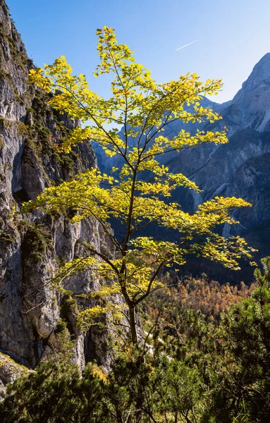 Slunečné barevné podzimní alpské scény. Klidný skalnatý pohled — Stock fotografie