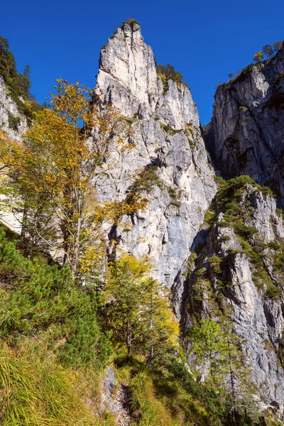 Solig färgstark höst alpin scen. Lugn klippig utsikt över bergen — Stockfoto