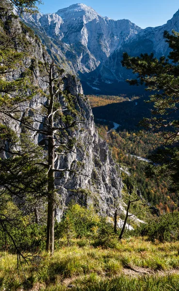 Zonnige kleurrijke herfst alpine scene. Rustige rotsachtige berg uitzicht — Stockfoto