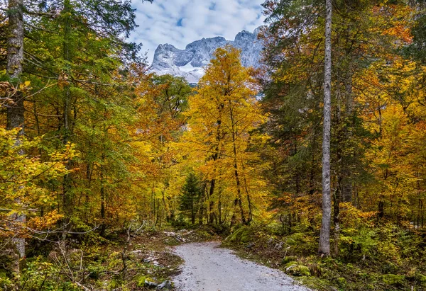 Őszi Alpok hegyi erdő. Gosauseen vagy Vorderer Gosausee közelében — Stock Fotó