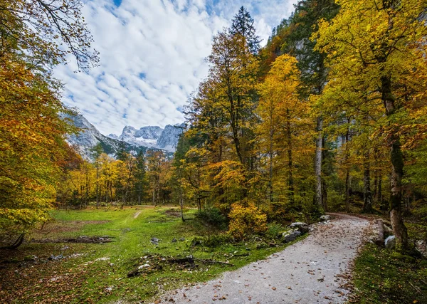 Outono tranquilo Alpes vista para a floresta de montanha. Perto de Gosauseen ou Vor — Fotografia de Stock