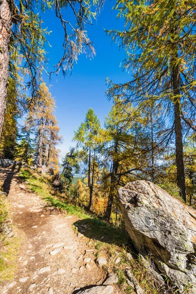 Lugn höst Alperna bergsutsikt skog. Reiteralm, Steiermark — Stockfoto
