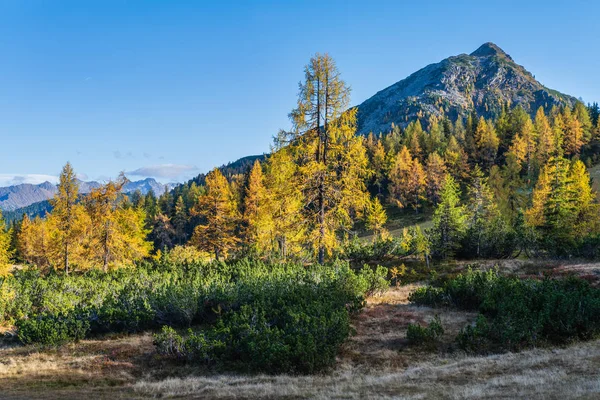 Tranquilo otoño Alpes vista a la montaña. Reiteralm, Steiermark, Austr —  Fotos de Stock