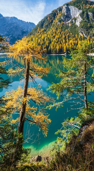 Otoño tranquilo lago alpino Braies o Pragser Wildsee. Fanes-Sen — Foto de Stock