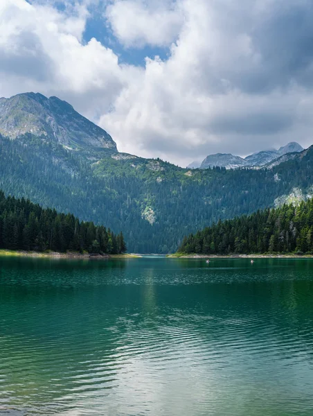 Jezioro Czarne (Crno jezero) letni krajobraz. gmina Zabljak — Zdjęcie stockowe