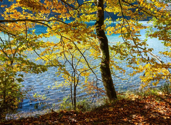 Peaceful Autumn Alps mountain lake Offensee lake, Salzkammergut, — Stock Photo, Image