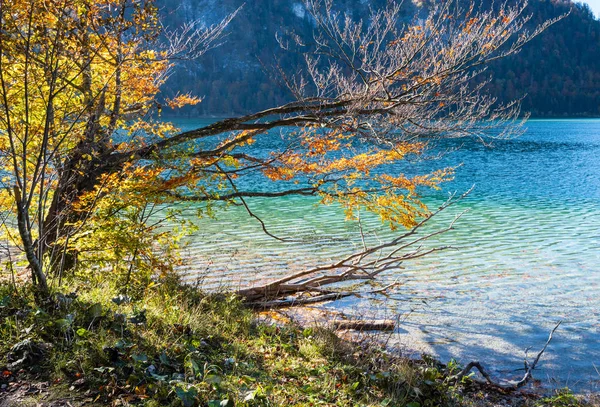 Huzurlu Sonbahar Alpleri dağ gölü Offensee gölü, Salzkammergut, — Stok fotoğraf