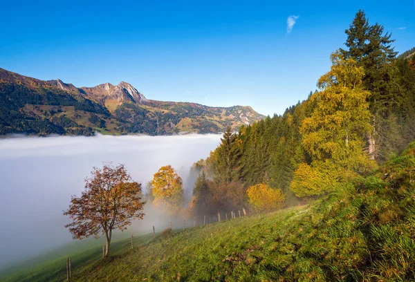 静谧朦胧的秋日清晨，从远足小径眺望山景 — 图库照片