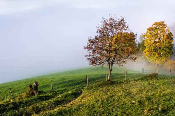 Rustige mistige herfst ochtend uitzicht op de bergen vanaf wandelpad fro — Stockfoto