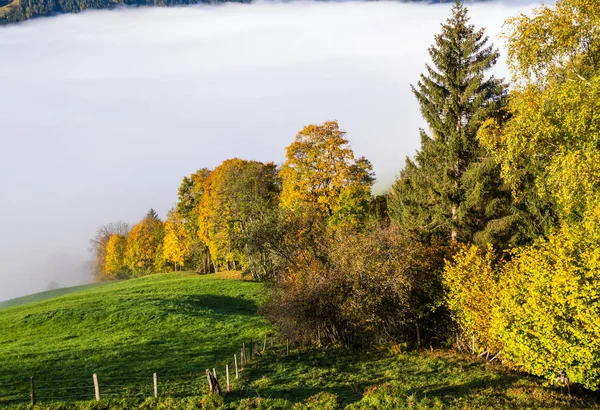 Peaceful misty autumn morning mountain view from hiking path fro — 스톡 사진