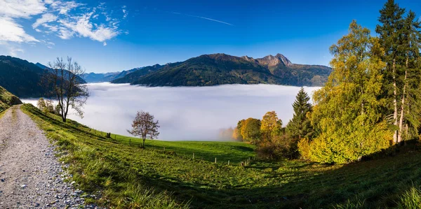 登山道から眺める穏やかな霧の秋の朝の山の景色 — ストック写真