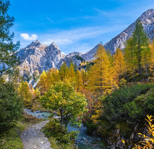 Podzimní pohled na alpský potok z horské turistické stezky do Tappenkaru — Stock fotografie