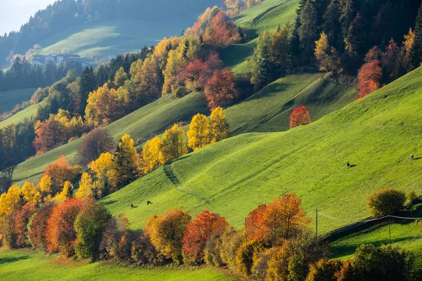 Outono Santa Magdalena famosa Itália Dolomites montanha aldeia e — Fotografia de Stock