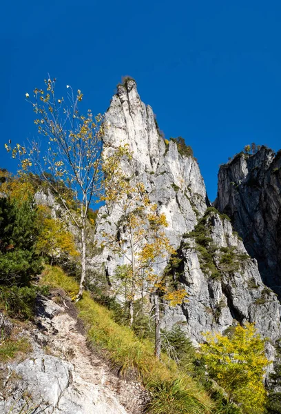 Słoneczna, kolorowa jesienna scena alpejska. Pokojowy widok na góry skaliste — Zdjęcie stockowe