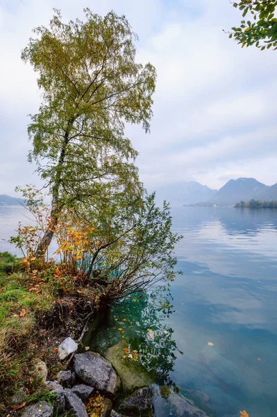 Autumn Alps mountain lake Attersee view, Salzkammergut, Upper Au — Stockfoto