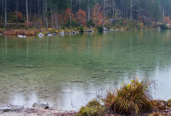 Montanha lago outono alpino Hintersee, Berchtesgaden pa nacional — Fotografia de Stock