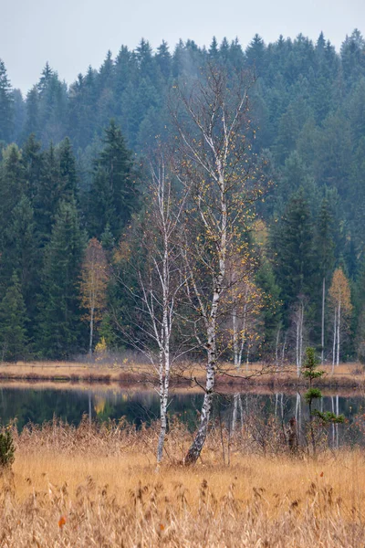 Mountain alpine autumn lake Schwarzsee, Kitzbuhel, Tirol, Austri — Stok fotoğraf