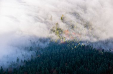 Autumn Alps mountain misty morning view from Jenner Viewing Plat
