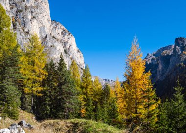 Autumn alpine Dolomites rocky  mountain scene, Sudtirol, Italy. 