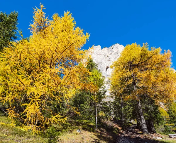 Podzimní alpská horská scéna, Sudtirol, Itálie. — Stock fotografie