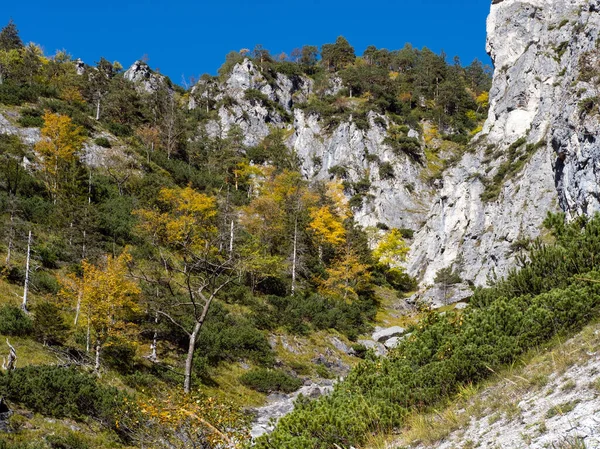 Aurinkoinen värikäs syksyn Alppien kohtaus. Rauhallinen kivinen vuoristomaisema — kuvapankkivalokuva