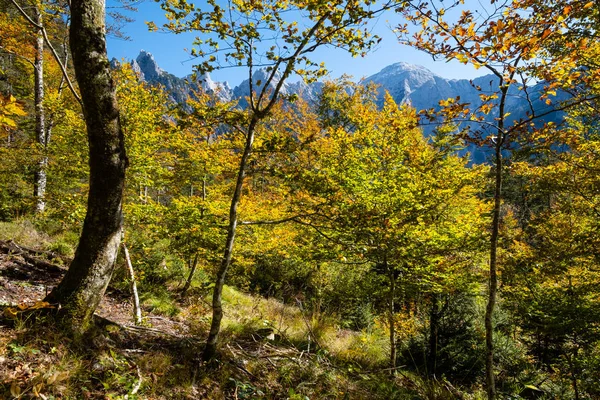 Солнечная красочная осенняя альпийская сцена. Мирный скалистый вид на горы — стоковое фото