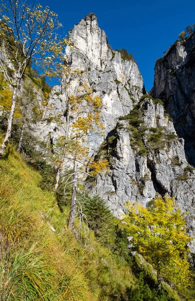 晴れカラフルな秋の高山のシーン。穏やかな岩山の景色 — ストック写真