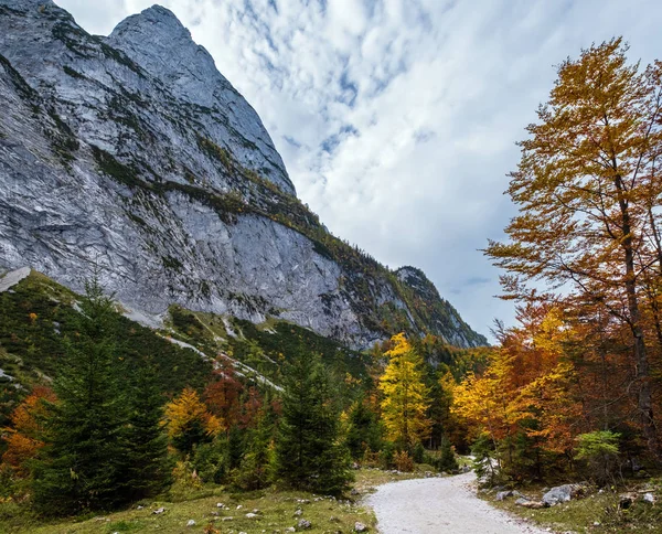 Peaceful autumn Alps mountain forest view. Near Gosauseen or Vor — Stock Photo, Image