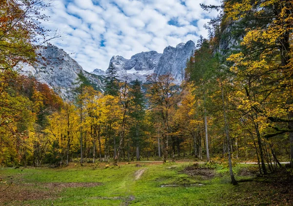 Klidný podzimní Alpy pohled na horské lesy. Poblíž Gosauseen nebo Vor — Stock fotografie